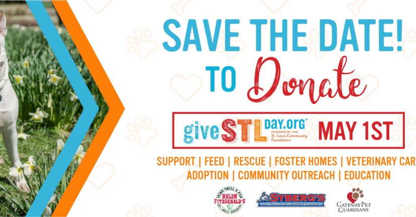 Give Day Stl Gateway Pet Guardians Helen Fitzgerald S Irish